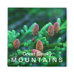 Fraser Fir - Great Smoky Mountains National Park Magnet