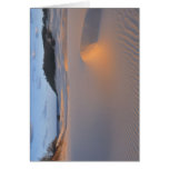 Fraser Island Greeting Cards