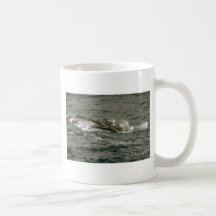 Fraser's dolphin coffee mug