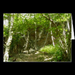 Frazier Discovery Trail Nature Photography Card