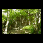 Frazier Discovery Trail Nature Photography Print