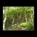 Frazier Discovery Trail Postcard