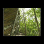 Frazier Rock Wall Postcard