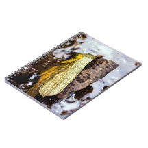 freak note books