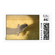 freak postage by parishilton2007 freak postage