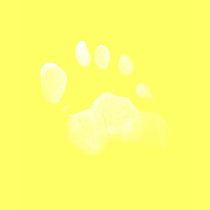 freaky feet t-shirts by Rebs123 freaky feet t-shirts