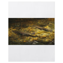 Freash water Trout. Flyers