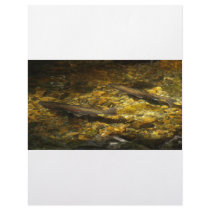 Freash water Trout. Letterhead Design