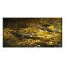 Freash water Trout. Custom Photo Card