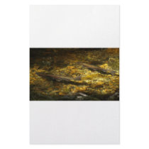 Freash water Trout. Stationery Design