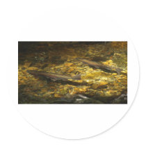 Freash water Trout. Sticker