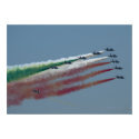 Frecce Tricolori Poster Print print