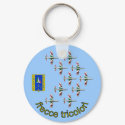 Frecce Tricolori Ten MB339 Keychain keychain