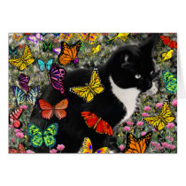 Freckles in Butterflies - Black & White Kitty Greeting Card