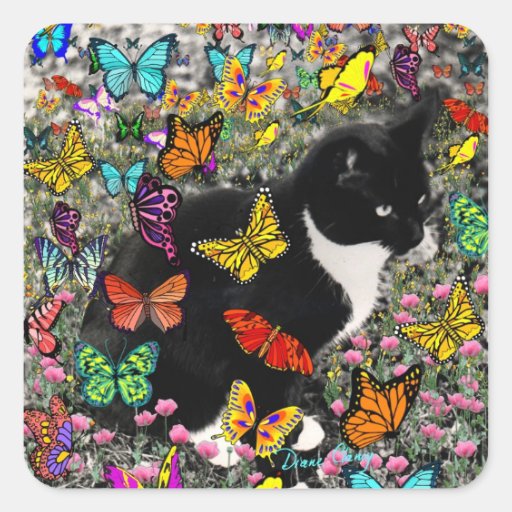 Freckles in Butterflies - Black & White Tux Cat Stickers
