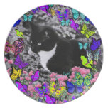 Freckles in Butterflies II - Black and White Cat Plate