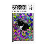 Freckles in Butterflies II - Black White Tux Kitty Postage Stamp