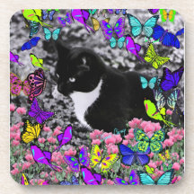 Freckles in Butterflies II - Tuxedo Cat Drink Coaster