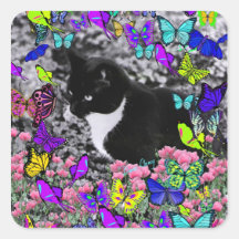 Freckles in Butterflies II - Tuxedo Cat Stickers