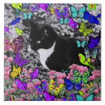 Freckles in Butterflies II - Tuxedo Cat tiles