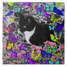 Freckles in Butterflies II - Tuxedo Cat Tile