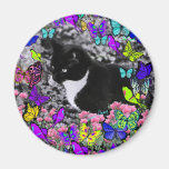 Freckles in Butterflies II - Tuxedo Kitty Cat Fridge Magnets