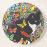 Freckles in Butterflies - Tuxedo Kitty Coasters