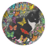 Freckles in Butterflies - Tuxedo Kitty Party Plates