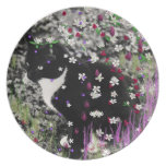 Freckles in Flowers I - Black White Tuxedo Kitty Party Plates