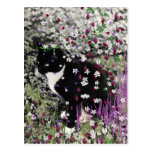 Freckles in Flowers I - Tux Cat Post Cards