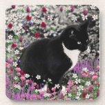 Freckles in Flowers II - Black White Tuxedo Cat Coasters