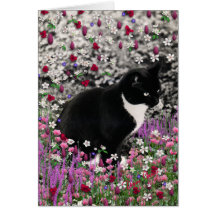 Freckles in Flowers II Card - Tux Cat