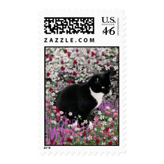 Freckles in Flowers II Postage - Tuxedo Cat stamp