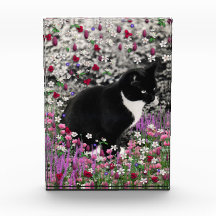 Freckles in Flowers II - Tux Cat Awards