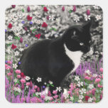 Freckles in Flowers II - Tux Kitty Cat Sticker
