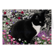 Freckles in Flowers II - Tuxedo Cat Cards