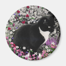 Freckles in Flowers II - Tuxedo Cat Magnets