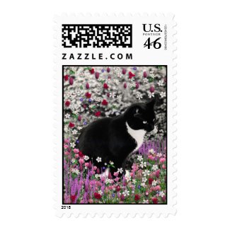 Freckles in Flowers II - Tuxedo Cat stamp