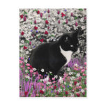 Freckles in Flowers II - Tuxedo Cat postcards