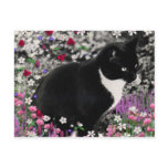 Freckles in Flowers II - Tuxedo Cat Post Cards