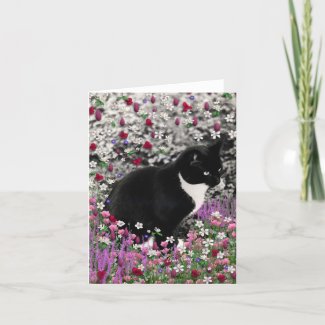Freckles in Flowers II - Tuxedo Kitty Cat Cards