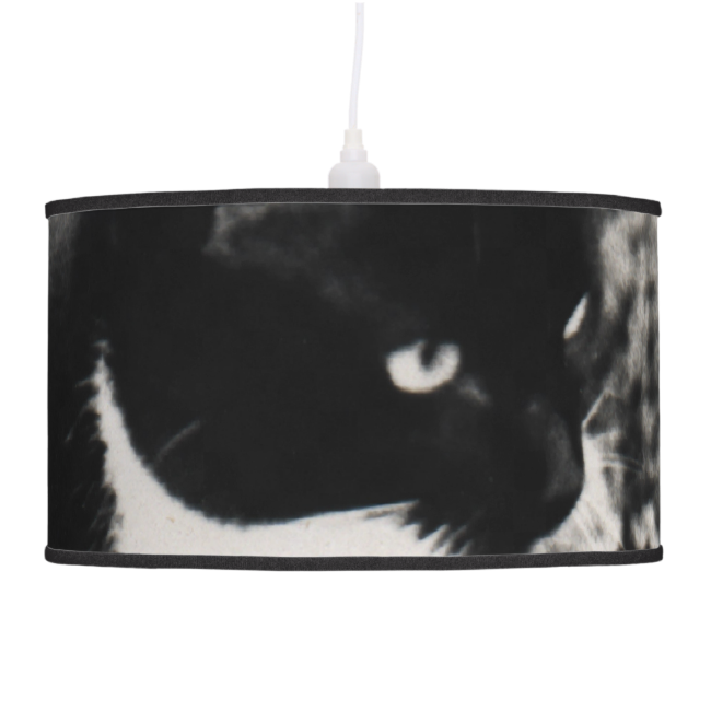 Freckles in Flowers II, Tuxedo Kitty Cat Hanging Lamp Freckles in Flowers II, Tuxedo Kitty Cat Hanging Lamp