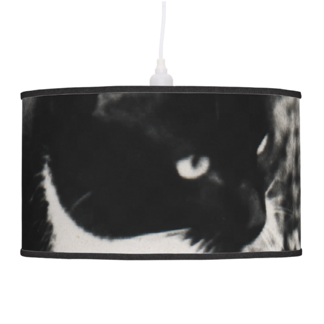 Freckles in Flowers II, Tuxedo Kitty Cat Hanging Lamp