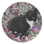 Freckles in Flowers II - Tuxedo Kitty Cat Dinner Plate