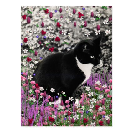 Freckles in Flowers II - Tuxedo Kitty Cat Post Cards