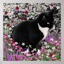 Freckles in Flowers II - Tuxedo Kitty Cat Poster