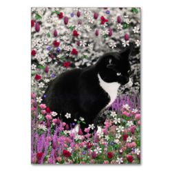 Freckles in Flowers II, Tuxedo Kitty Cat Table Cards