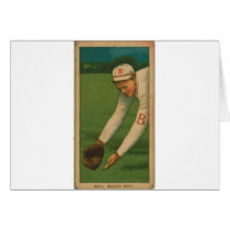 Fred Beck, Boston Doves Greeting Cards