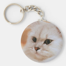 Freddie ~ Chinchilla Persians Key Chains