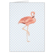 Freddy Flamingo Cards